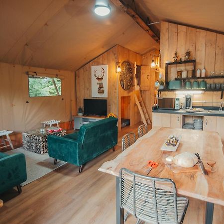 Cosy Forest Lodge Penrhos  Bagian luar foto
