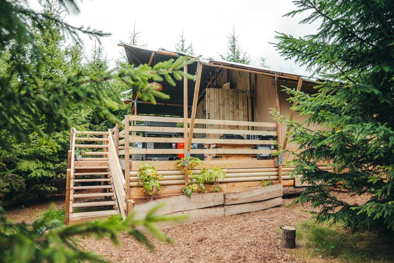 Cosy Forest Lodge Penrhos  Bagian luar foto