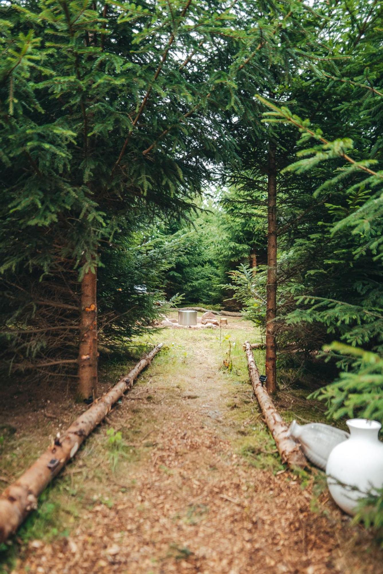 Cosy Forest Lodge Penrhos  Bagian luar foto