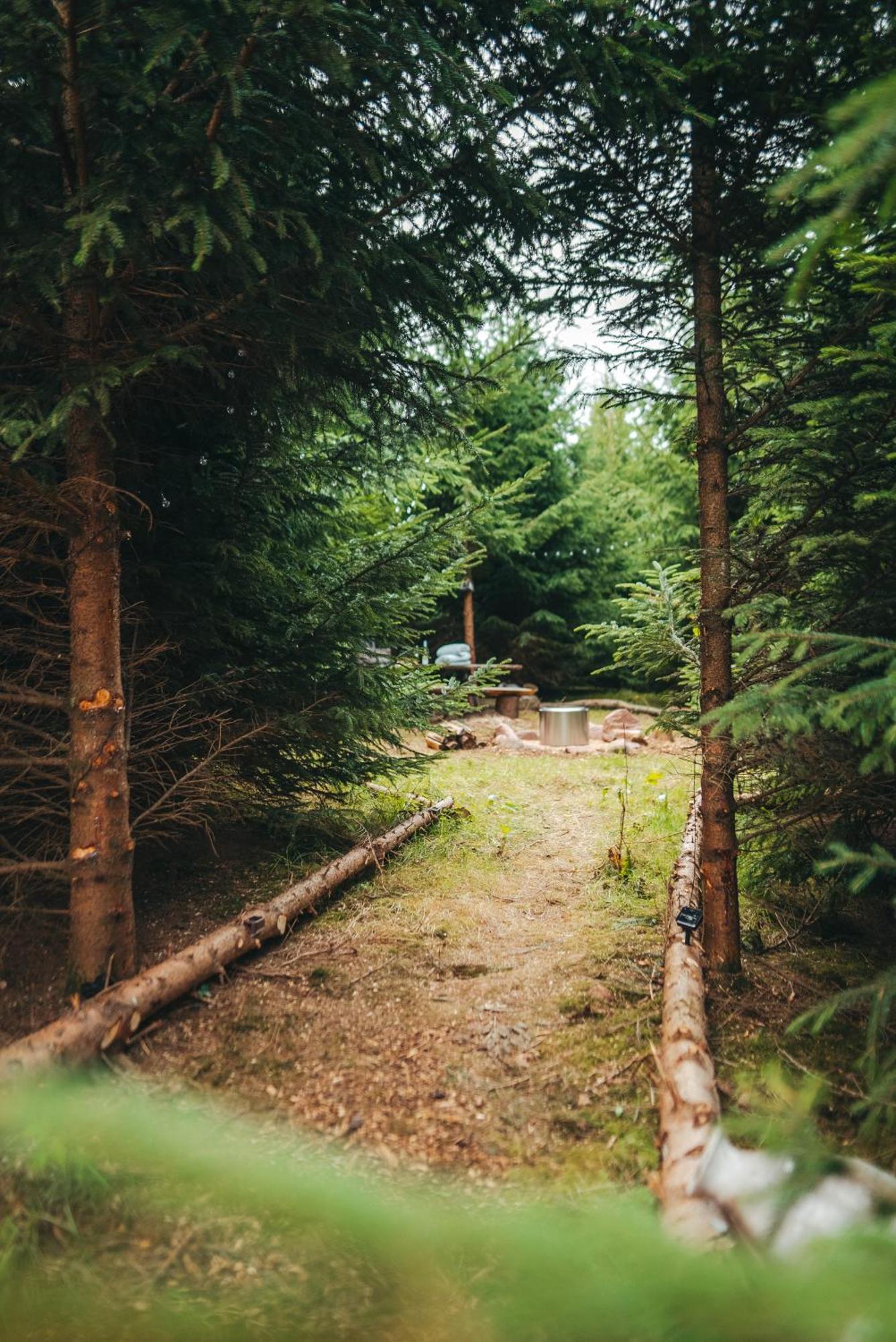 Cosy Forest Lodge Penrhos  Bagian luar foto
