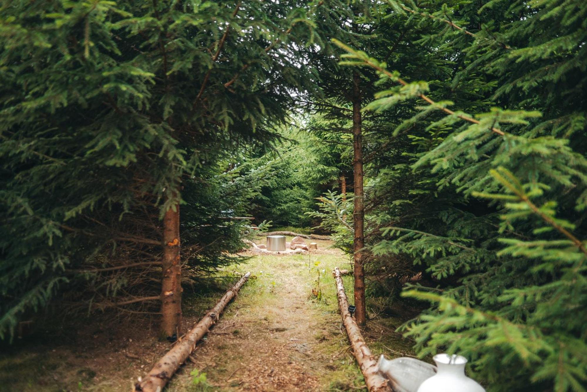 Cosy Forest Lodge Penrhos  Bagian luar foto