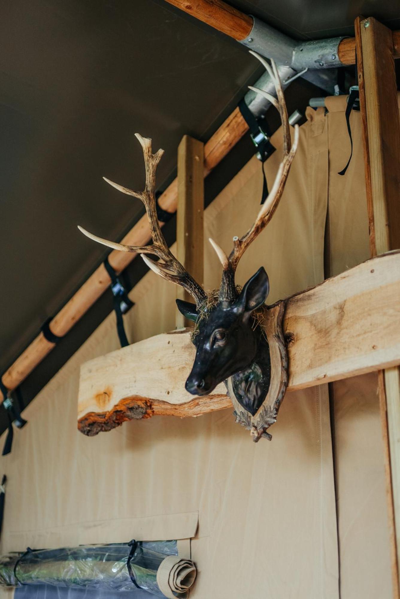 Cosy Forest Lodge Penrhos  Bagian luar foto